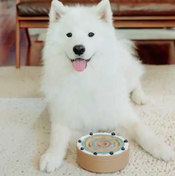 Lambwolf Collective- 3合1慢食碗