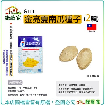 【綠藝家】G111.金亮夏南瓜種子2顆(櫛瓜) 較耐高溫，可單為結果 生育強健，結果力強，產量高