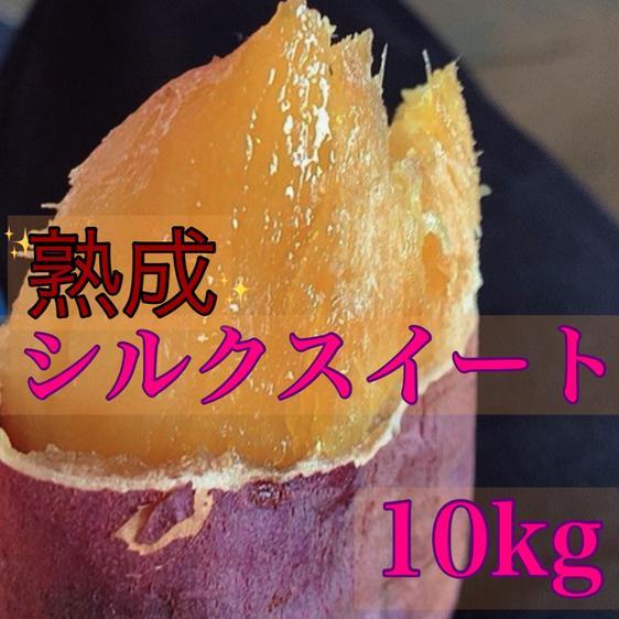 野菜 さつまいも さつまいも シルクスイート A級 10kg ［送料こ 産地直送