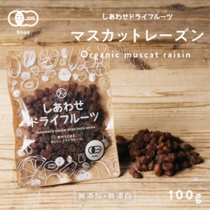 サンマスカットレーズン(100g オーストラリア産)  ドライフルーツ 無添加 砂糖不使用 ノンオイル ポリフェノール 有機JAS認定 レーズン