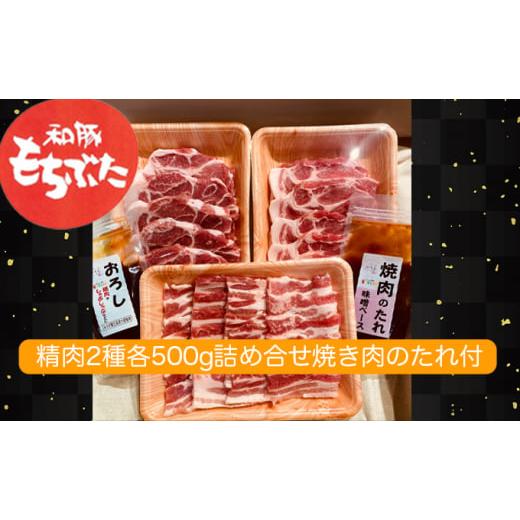 ふるさと納税 宮城県 大河原町 和豚もちぶた 精肉2種各500g詰め合わせ 焼き肉のたれ付セット