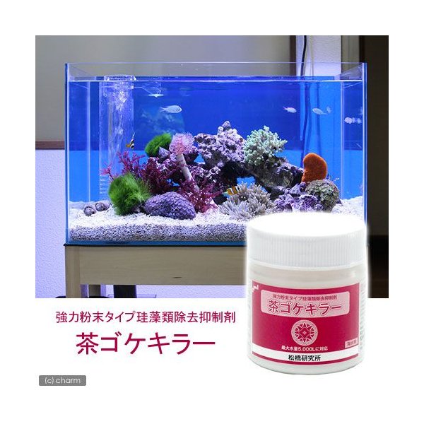 珪藻類除去抑制剤 粉末茶ゴケキラー 海水用 １５０ｇ 沖縄別途送料 通販 Lineポイント最大0 5 Get Lineショッピング