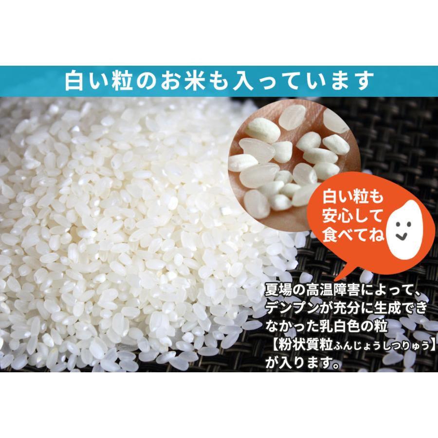 青森県産 はれわたり 米2023年度産 [※SP]