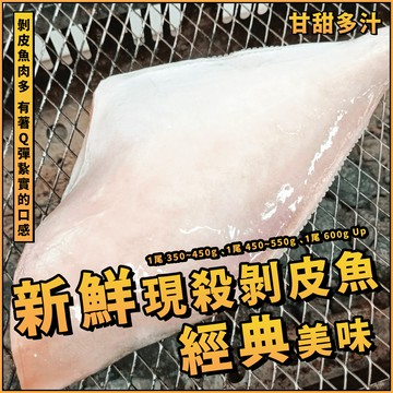 【天天來海鮮】現殺剝皮魚／剝皮魚／1尾 350~450g、1尾 450~550g、1尾 600g Up／台灣／剝皮魚／去頭