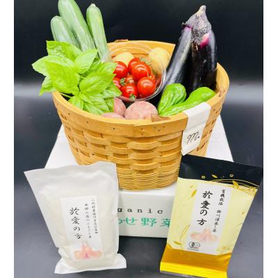 ふるさと納税 掛川市 於愛の方 ふるさとの味　有機野菜・お米・お茶のセット (西郷の局セット)