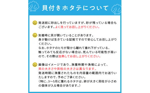 オホーツク貝付きほたて 3kg(15枚～25枚)( 海鮮 魚介 魚介類 貝 貝類 ホタテ ほたて 帆立 殻付き 貝柱 贈答 ギフト 贈り物 お中元 お祝い BBQ バーベキュー