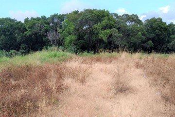 龍井中社路超商旁方正建地｜台中市龍井區中社段