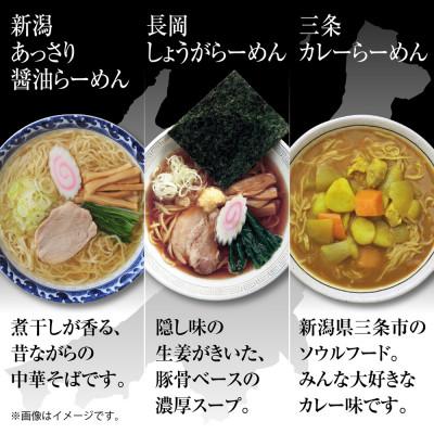 ふるさと納税 十日町市 新潟5大ラーメン 食べ比べセット 各2食 替玉5束