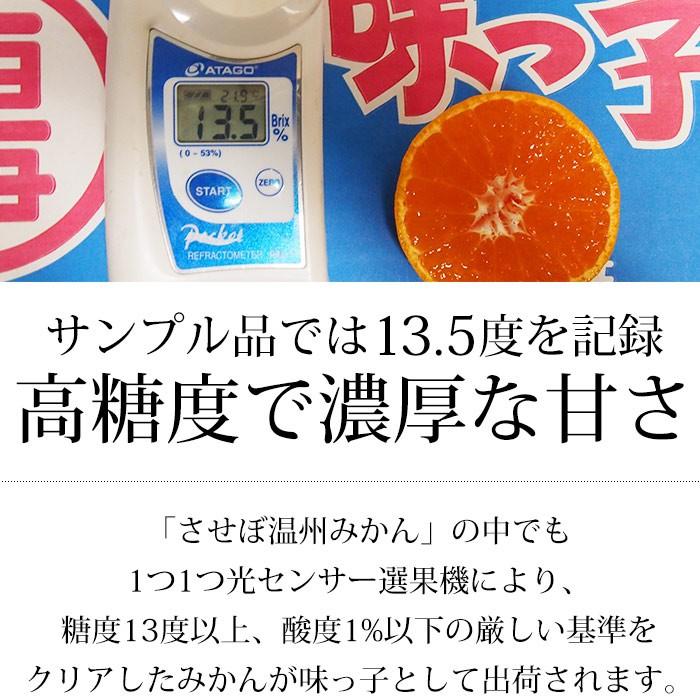みかん 長崎県産 味っ子みかん 丸秀品 約5kg S〜Lサイズ 40〜60個 糖度13度以上