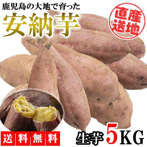 安納芋 5kg 送料無料 安納いも 安納イモ 産地直送 産直 土付き さつまいも さつま芋 薩摩芋 焼きいも 焼き芋 鹿児島県産 FJK-002