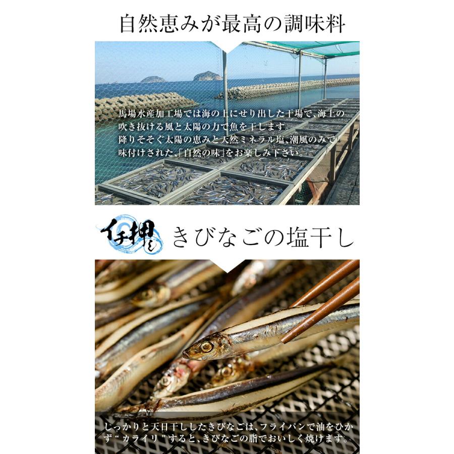 業務用シェア買い甑島の きびなご塩干し 13kg(1kg×13)ギフト不可鹿児島産 国産 塩干 天日干し 干物 おつまみ キビナゴ 冷凍 漁師の約束 居酒屋 惣菜