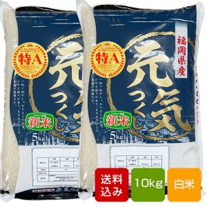 元気つくし 10kg 白米 特A 福岡県産  令和5年産