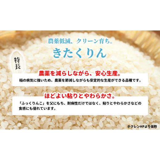 ふるさと納税 北海道 赤平市 北海道赤平産 きたくりん 10kg (5kg×2袋) 特別栽培米  精米 米 北海道 定期便