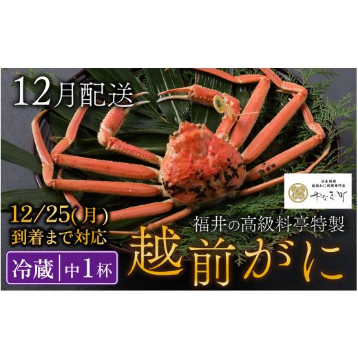 ふるさと納税 福井県 福井市 ＜12月発送分＞蟹好きにおすすめ！老舗カニ専門店の「越前ずわいがに」700g〜900g×1杯【 越前ガニ 越前がに ズワイガニ ずわいが…