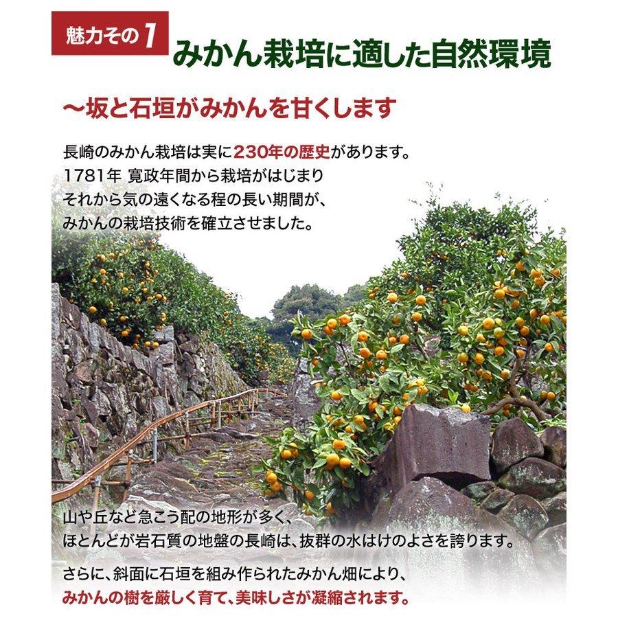 みかん 味ロマン 糖度12度選別 JA長崎せいひ 約2.5kg 外皮に傷あり (11月出荷：2S-M、12月出荷：S-L) ※常温　送料無料 長崎県 ご自宅用 訳あり