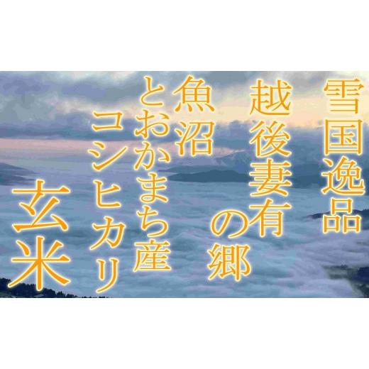 ふるさと納税 新潟県 十日町市 ●定期便・玄米● 越後妻有の郷 魚沼十日町産コシヒカリ