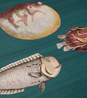 Fornasetti x Cole & Son Acquario printed wallpaper