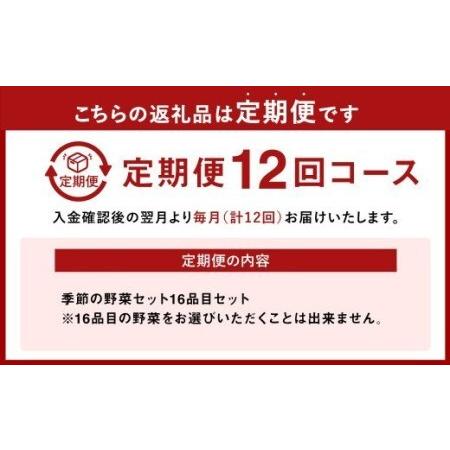 ふるさと納税  季節の野菜セット 16品目 熊本県八代市