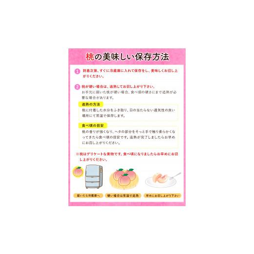 ふるさと納税 和歌山県 紀の川市  あら川の桃 約3kg 8-11玉 室谷青果 《2024年6月下旬-8月中旬頃より順次出荷》 和歌山県 紀の川市