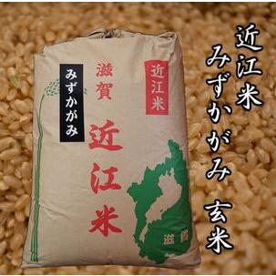 ふるさと納税 令和5年産 みずかがみ 玄米 30kg 近江米 新米 みずかがみ 米粉 200g付（竜王町 みずかがみ） 滋賀県竜王町