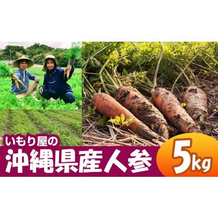 ふるさと納税 いもり屋の沖縄県産　人参　5kg 沖縄県南風原町