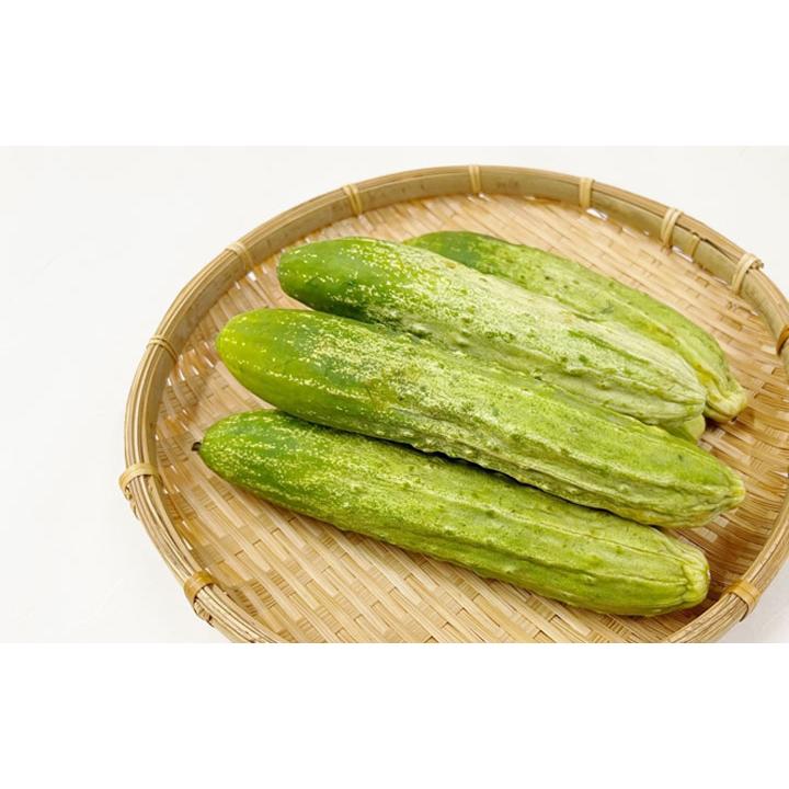 漬物 在来種 野菜 外内島キュウリ粕漬からし風味2本 常温 山形県鶴岡産 食の都庄内 きゅうり