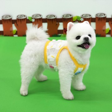 ParisDog 蝴蝶短版透視背心 (寵物服飾)