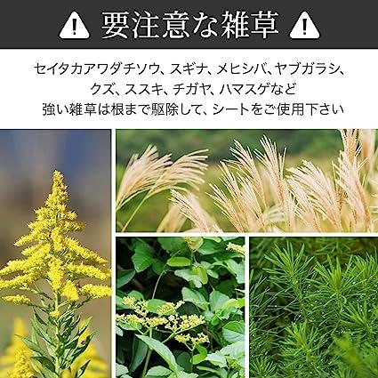 iimono117 防草シート 長さ100メートルまで × 幅2メートルまで 耐久年数3年 除草シート 園芸用シート 雑草シート(幅1m×長さ10m)