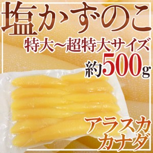 アラスカ・カナダ・北海道 ”塩数の子 特大以上 約500g” ジャンボ一本羽 かずのこ