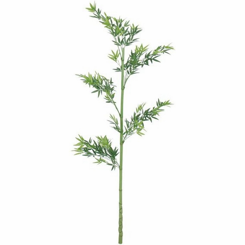 笹 七夕 飾り 竹 人工観葉植物 業務用 施設 オフィス 店舗 装飾 フェイク グリーン リアル タカショー 青竹1本物 1 8m C 通販 Lineポイント最大0 5 Get Lineショッピング