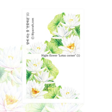 夜之花，蓮花角落