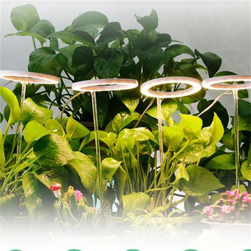天使環植物生長燈 多肉植物補光燈 家庭辦公台植物燈 小型植物射燈 紅藍植物燈 太陽光植物燈 5V植物燈 可接手機充電器