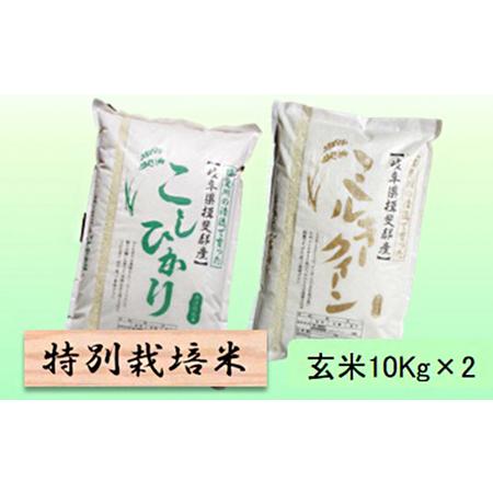 ふるさと納税 特別栽培米★玄米20kg 各10Kg 岐阜県池田町