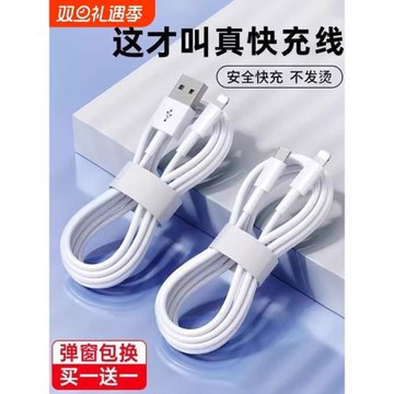 馴龍師 數據線適用于iPhone14蘋果13快充11promax手機12充電器7p 6se加長8plus閃充PD20W充電線iPad平板2米XR