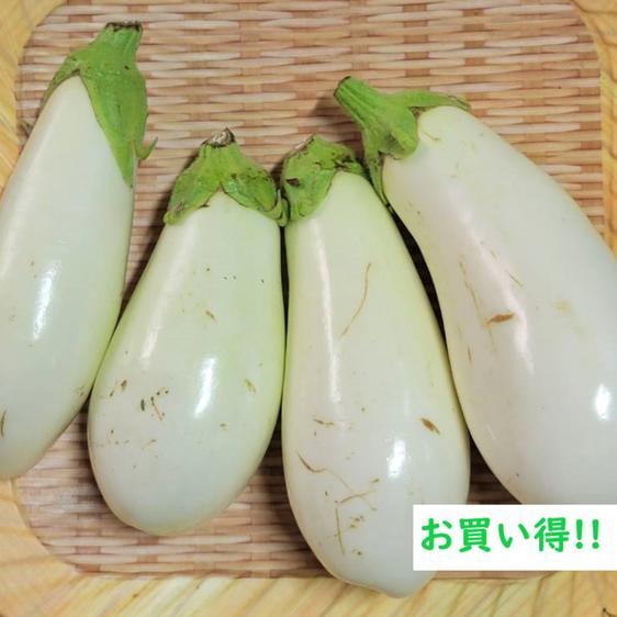 野菜 茄子 なす・白なす　食べ比べセット 1kg 産地直送