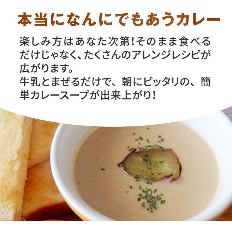 五島の鯛で出汁をとったなんにでもあうカレープレーン（30袋）