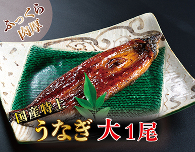 国産！特上うなぎのかば焼き 約200g × 1尾