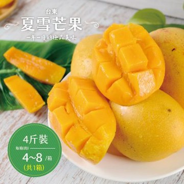 【產地直送】台東夏雪芒果淨重4斤x1盒(4-8顆/盒)