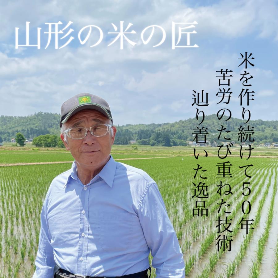 新米 米 10kg (5kg×2) 令和5年産 特A 山形県産 極上 雪若丸 精米 白米 産地直送