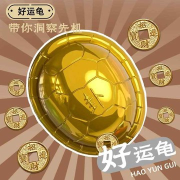 台現免運🔥好運占卜龜 創意玩具 占卜玩具 龜殼卦 金錢龜 幸運龜 解壓玩具 鑰匙扣 趣味占卜龜 占卜龜 好運龜 掛飾