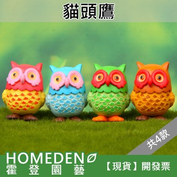 【隔日到貨】大眼貓頭鷹 4款 微景觀 園藝裝飾 療育公仔 DIY造景【HOMEDEN霍登園藝】