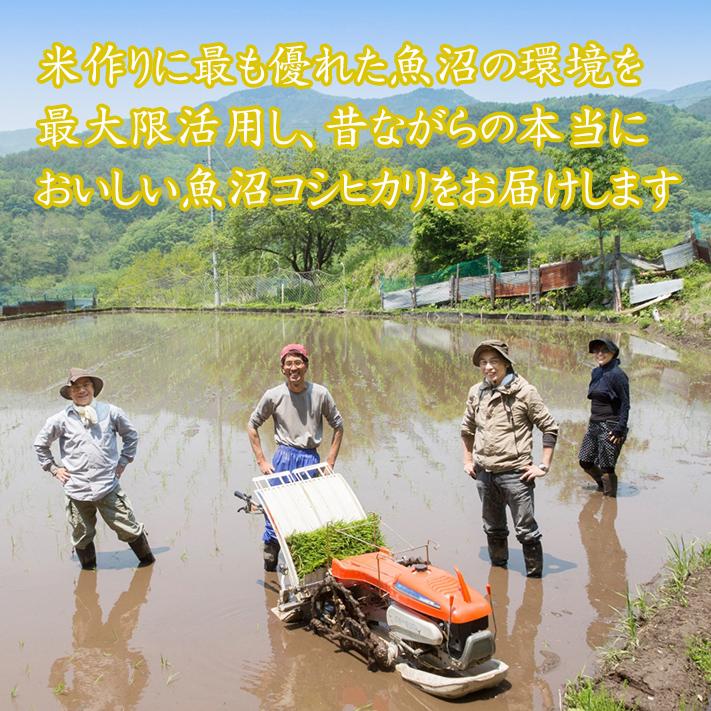 新米 令和5年 米 お米 5kg 新潟県魚沼産コシヒカリ 「別格」 白米5kg（5kg×1） 令和５年産米 有機質肥料栽培米