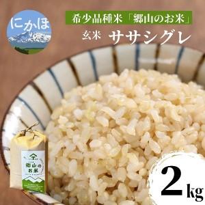 ふるさと納税 ササニシキの親　農薬不使用のササシグレ「郷山のお米」2kg（玄米） 秋田県にかほ市