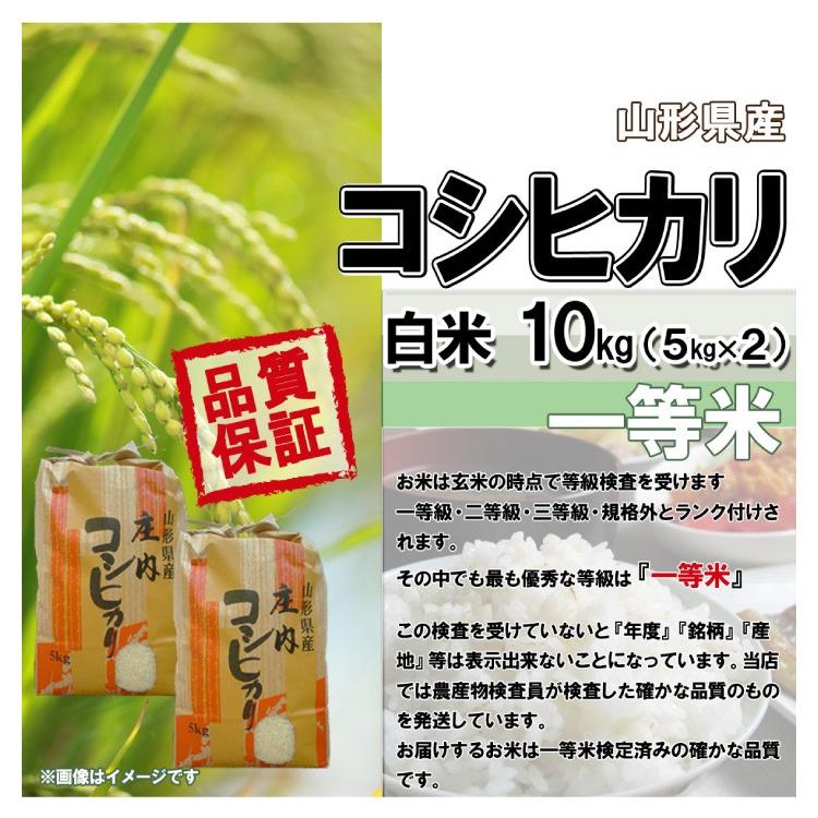 白米 10kg (5kg×2) 山形県産 コシヒカリ 米 お米 精米済 令和5年（送料無料）