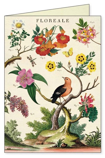 Cavallini & Co. GREETING CARD 花卉卡片組_四張一組