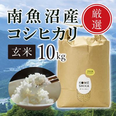 ふるさと納税 新潟県 南魚沼産コシヒカリ 玄米10kg