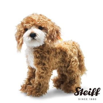 STEIFF德國金耳釦泰迪熊 Ricky Cockapoo 原創收藏版