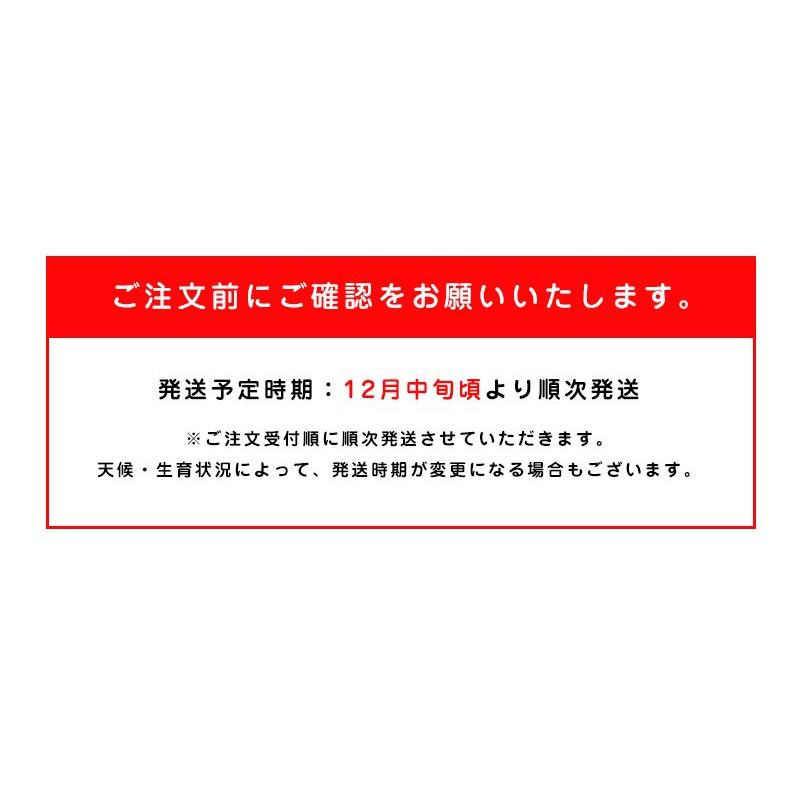 送料無料 青森県産 りんご ぐんま名月 9-11玉 約3kg りんご ぐんま名月 3kg りんご 青森 りんご 3kg 送料無料 群馬名月 ギフト 贈答 フルーツギフト