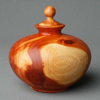 聞香寶瓶-台灣龍柏7