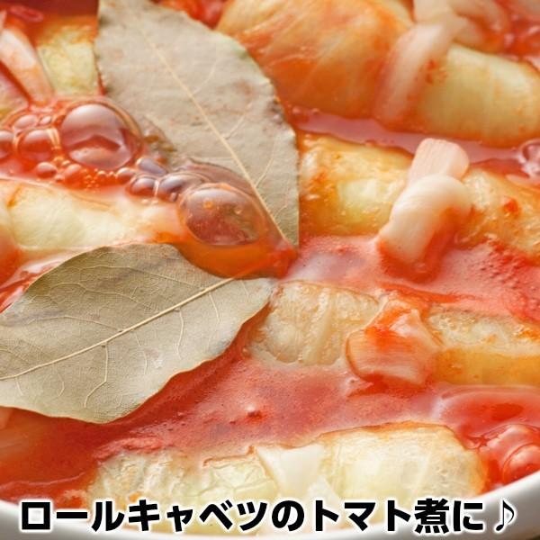 チーズの王様パルミジャーノレッジャーノ100％パウダー500g